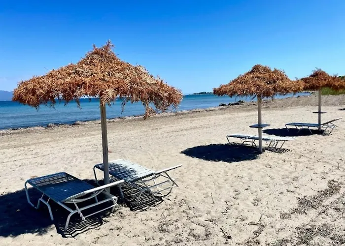 Alexandra 7 Apartament *